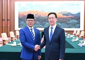 中国国家副主席韩正会见印尼外交部长苏吉约诺