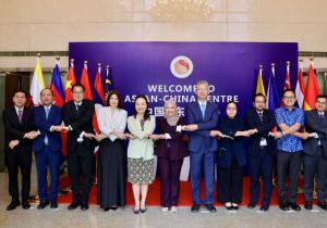 中国—东盟中心联合执行委员会举行2025年度第二次工作组会议