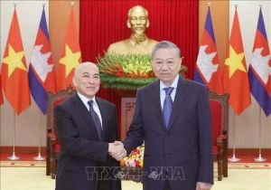 越南领导人会见柬埔寨国王西哈莫尼