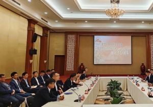 中国驻印尼使馆举办纪念中国人民抗日战争暨世界反法西斯战争胜利80周年座谈会