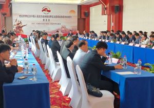 老挝侨界举行纪念中国人民抗日战争暨世界反法西斯战争胜利80周年座谈会