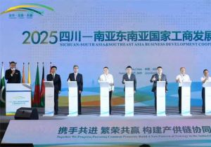 2025四川&mdash;南亚东南亚国家工商发展合作大会成功举办