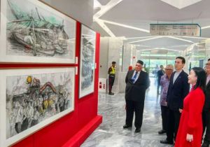 第三届中国&mdash;文莱文化艺术节开幕 中国驻文莱大使出席