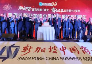 新加坡中国商会举行成立55周年庆贺晚会 中国大使出席