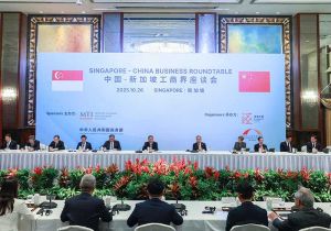 中国新加坡工商界座谈会在新加坡举行 中国总理和新加坡副总理出席