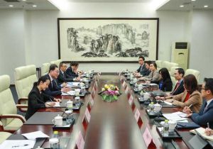 中国、新加坡举行双边合作机制会议高官会