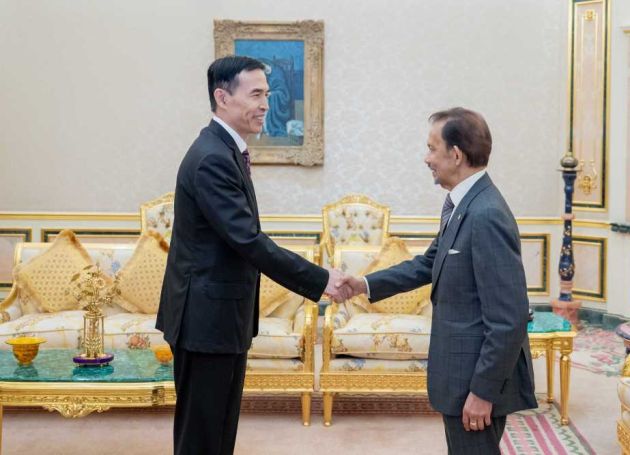 中国驻文莱大使肖建国离任拜会文莱苏丹哈桑纳尔