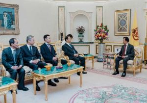 中国全国人大常委会副委员长、中国人民争取和平与裁军协会会长彭清华率团访问文莱 会见文莱苏丹 