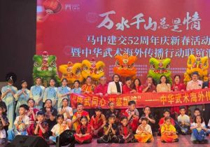 &ldquo;万水千山总是情&mdash;&mdash;马中建交52周年庆新春活动暨中华武术海外传播行动联谊汇演&rdquo;在亚庇举行
