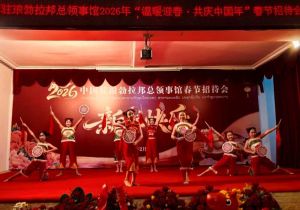 中国驻琅勃拉邦总领馆举行2026年春节招待会 老挝北部六省负责人和华侨华人代表出席