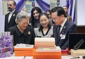 第59届泰国红十字会慈善义卖开幕 中国驻泰国大使张建卫出席