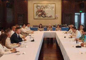 中国驻菲律宾大使井泉同菲中友好协会代表座谈交流