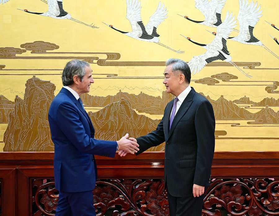 中国外交部长王毅会见国际原子能机构总干事：世界有倒回&ldquo;丛林法则&rdquo;的现实危险