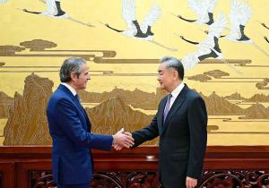 中国外交部长王毅会见国际原子能机构总干事：世界有倒回&ldquo;丛林法则&rdquo;的现实危险