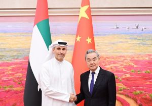 中国外长王毅会见阿联酋总统中国事务特使 中方愿推动中东局势尽早重回和平安宁