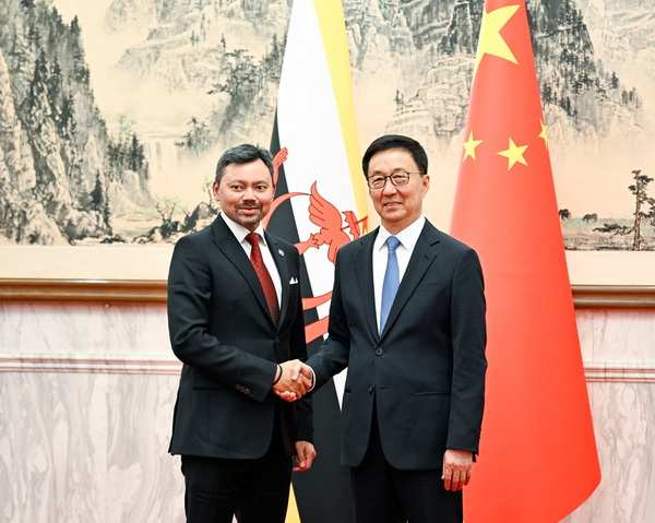 中国国家副主席韩正同文莱王储比拉举行会谈
