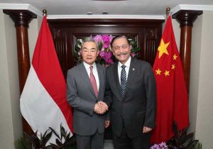 中国外交部长王毅会见印尼国家经济委员会主席卢胡特