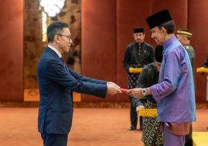 中国驻文莱大使陈少春向文莱苏丹哈桑纳尔递交国书